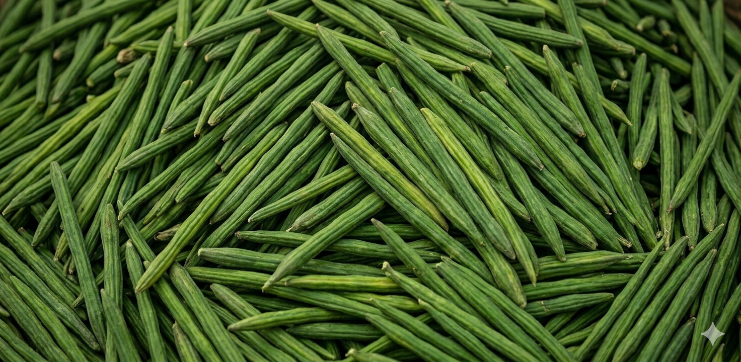 Fresh Drumstick - Bhoomi Global Exports